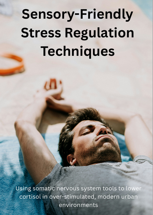 Sensory-Friendly Stress Regulation Techniques